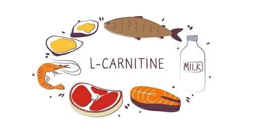 L Carnitine Powder.jpg